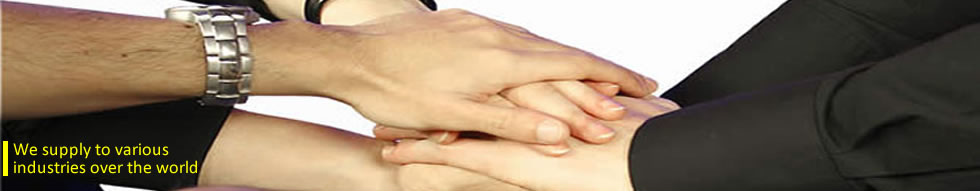 Hui Shing Mould and Plastic Industrial Co. Ltd.