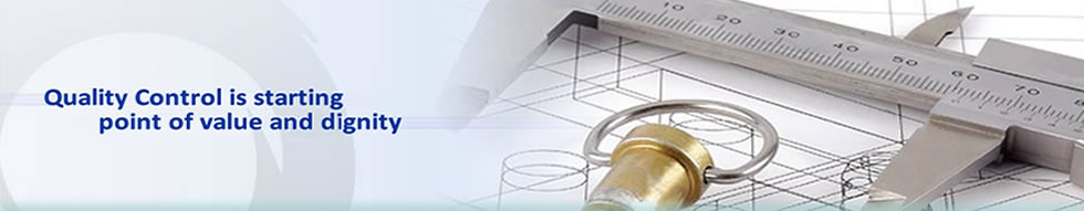 Hui Shing Mould and Plastic Industrial Co. Ltd.